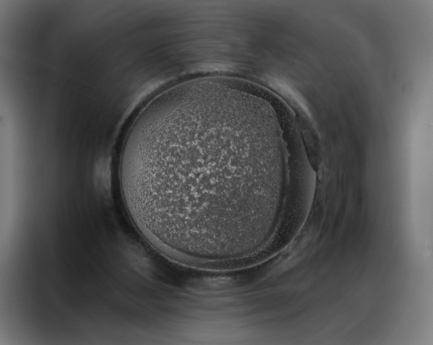 X0000088230108200705221833