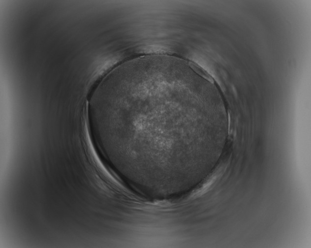 X0000088230109200705221833
