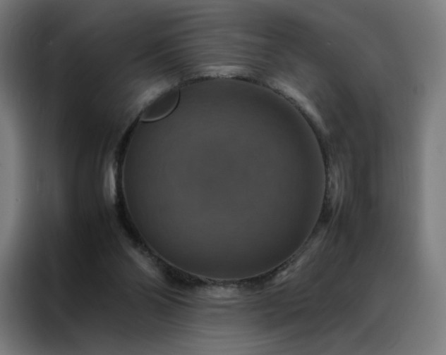 X0000088230110200705221833
