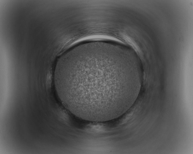 X0000088230113200705221833