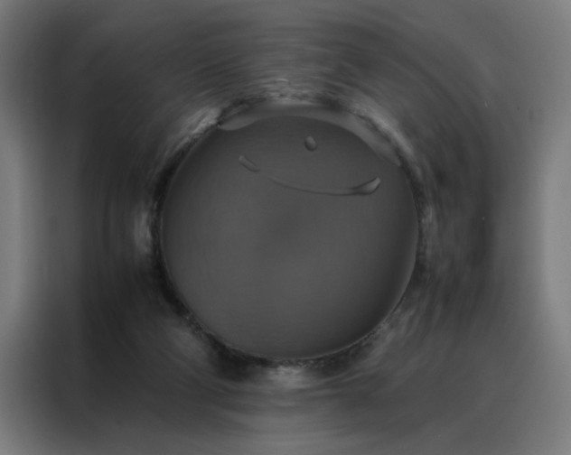 X0000088230114200705221833