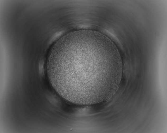 X0000088230116200705221833