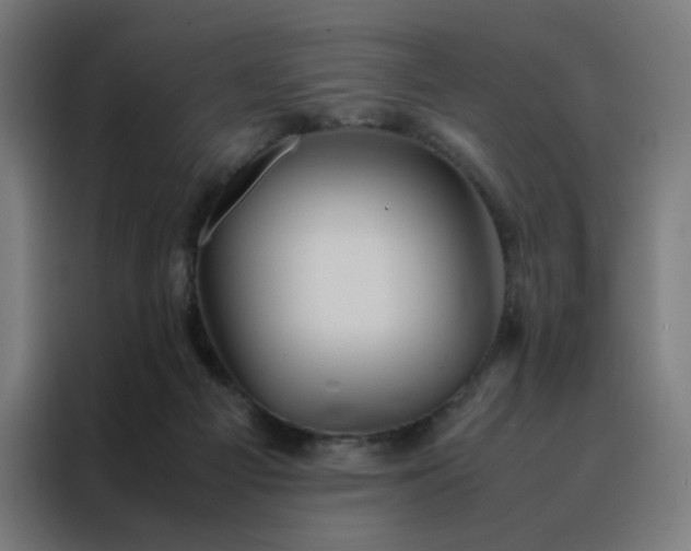 X0000088230121200705221833