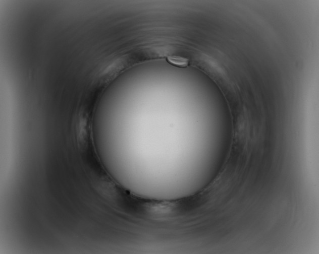 X0000088230122200705221833