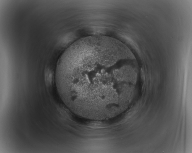 X0000088230123200705221832