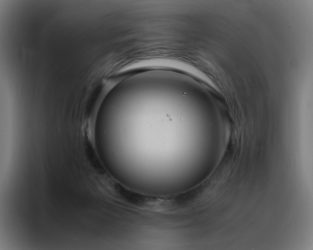 X0000088230125200705221832