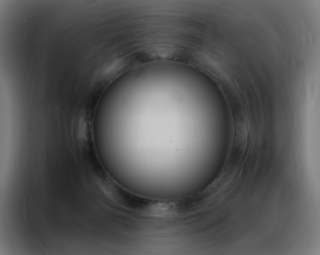 X0000088230126200705221832