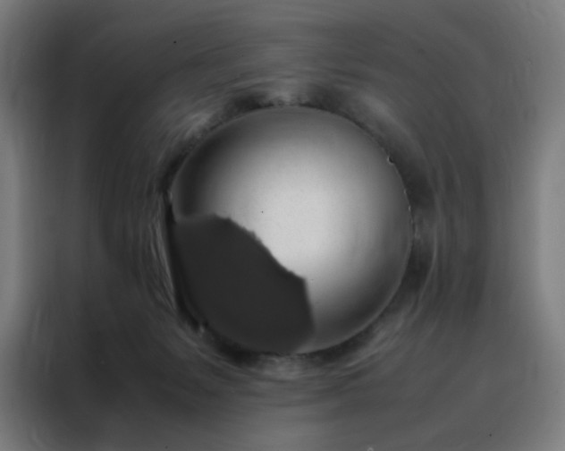 X0000088230127200705221832