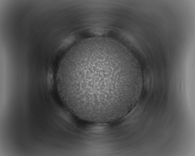 X0000088230128200705221832