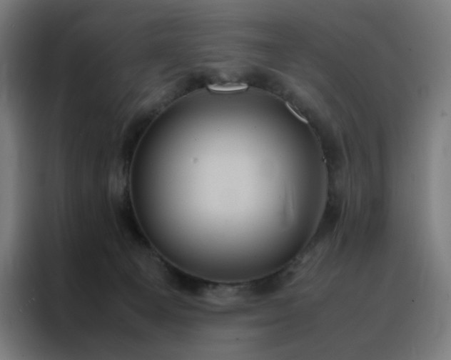 X0000088230129200705221832