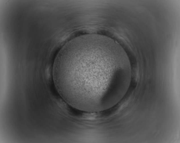 X0000088230131200705221832