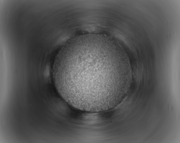 X0000088230132200705221832