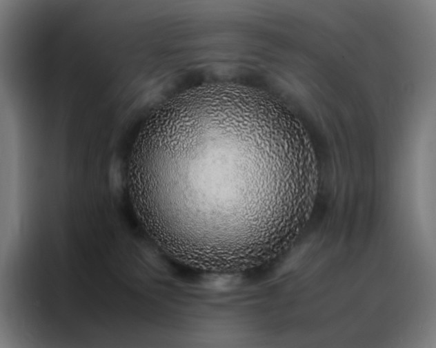 X0000088230135200705221832