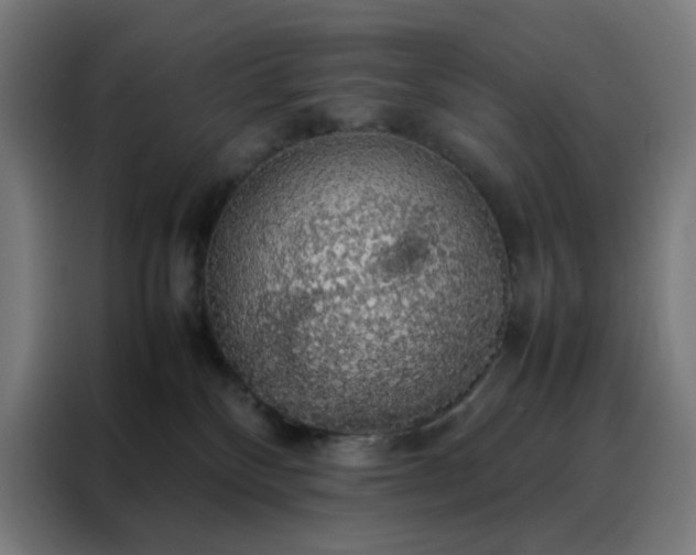 X0000088230136200705221832