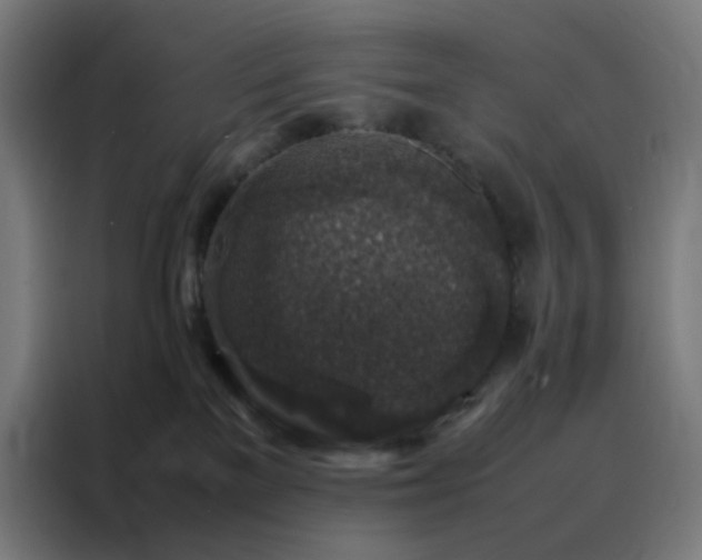 X0000088230137200705221832