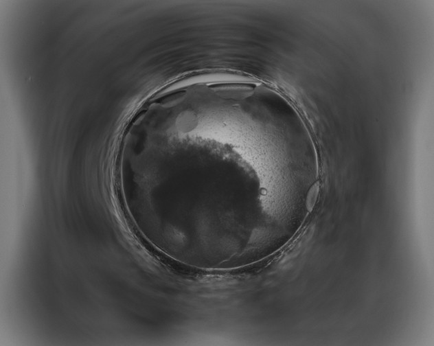 X0000088230145200705221832