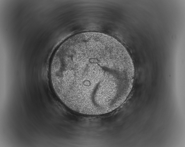 X0000088230146200705221832