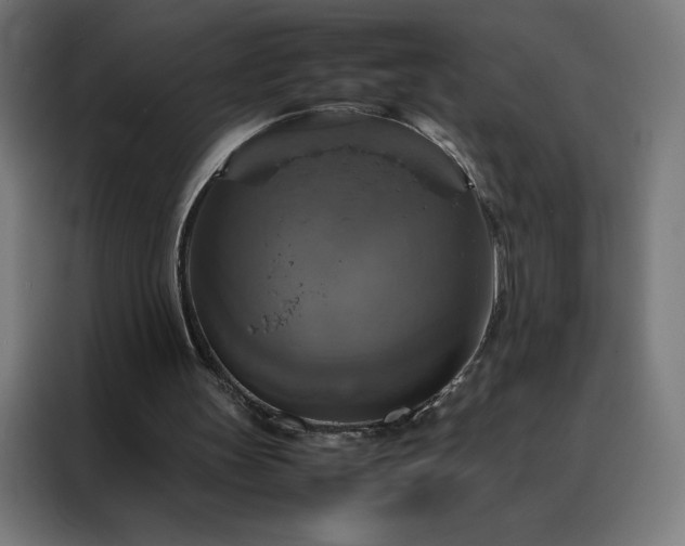 X0000088230147200705221832