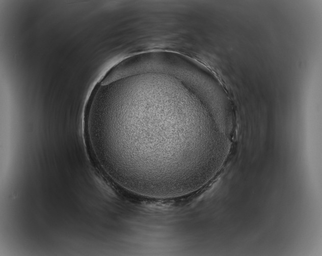X0000088230148200705221832