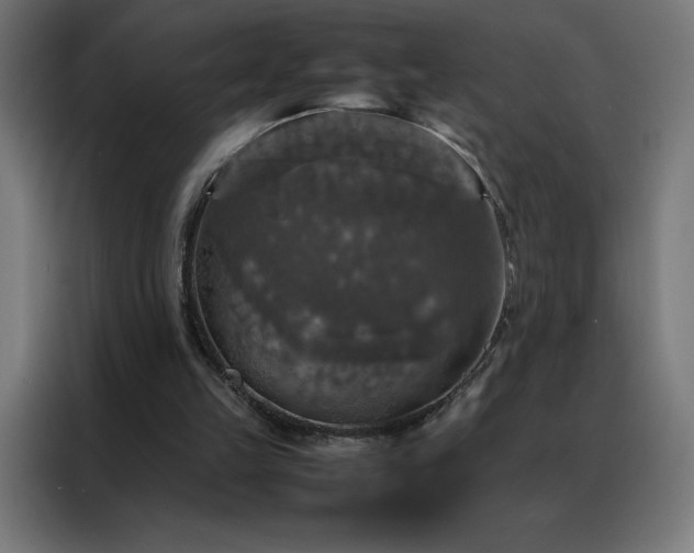 X0000088230149200705221832
