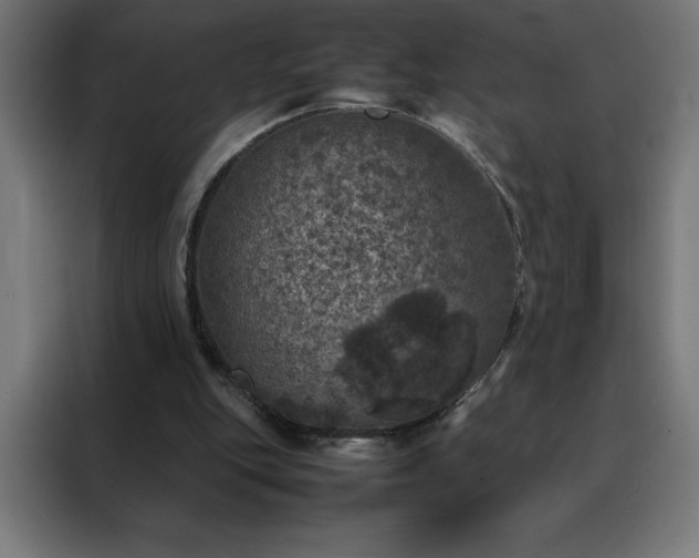X0000088230151200705221832