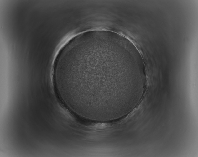 X0000088230152200705221832