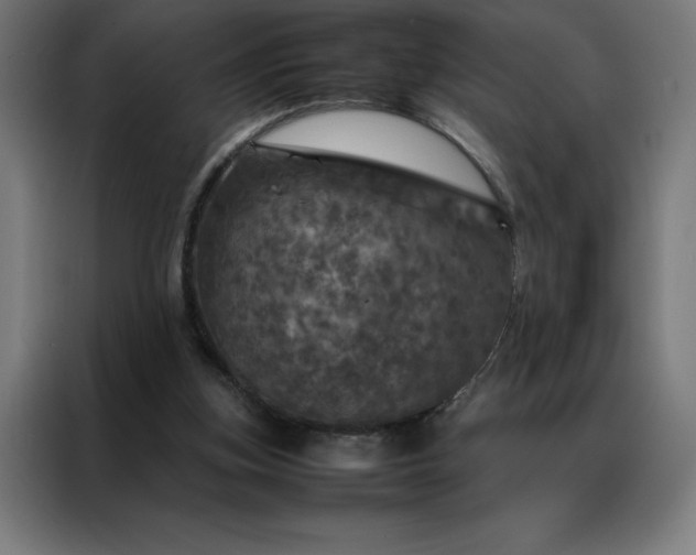 X0000088230155200705221832
