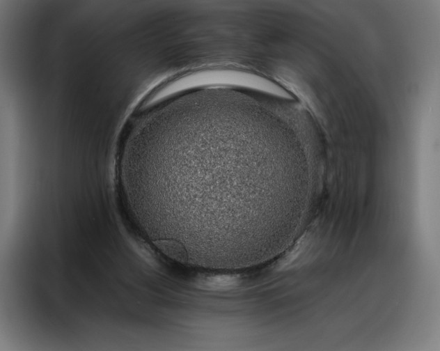 X0000088230156200705221832