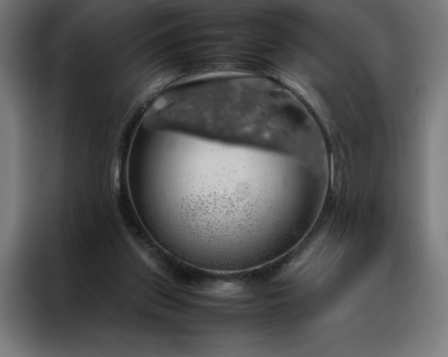 X0000088230157200705221832