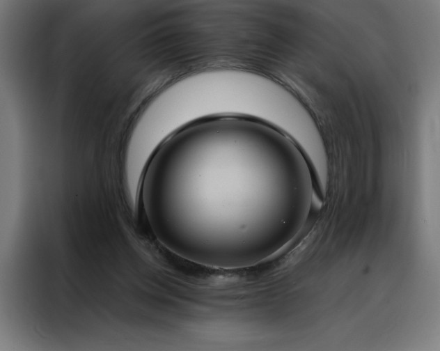 X0000088230158200705221832