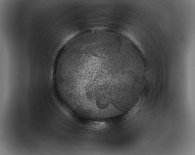 X0000088230159200705221832