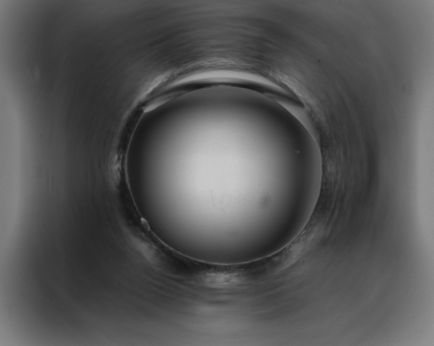 X0000088230160200705221832