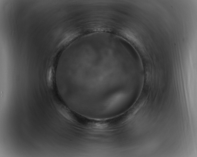 X0000088230165200705221832