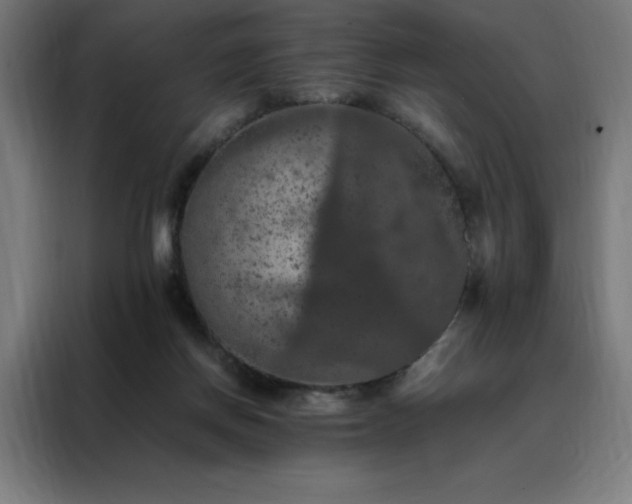 X0000088230166200705221832