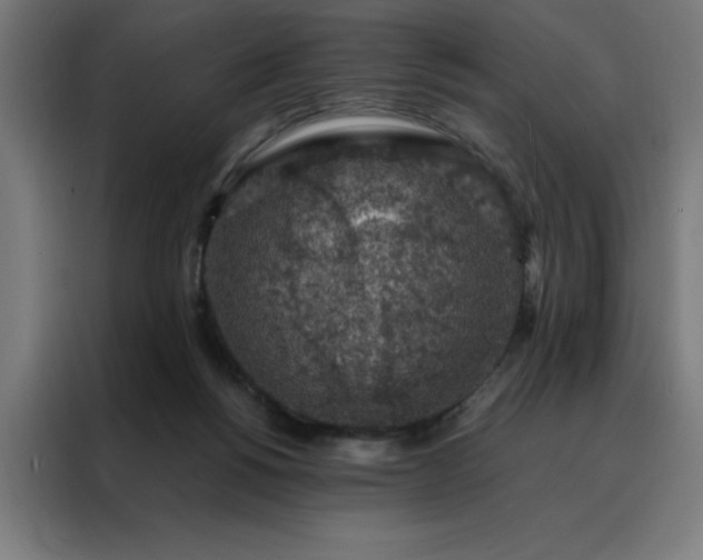 X0000088230168200705221832