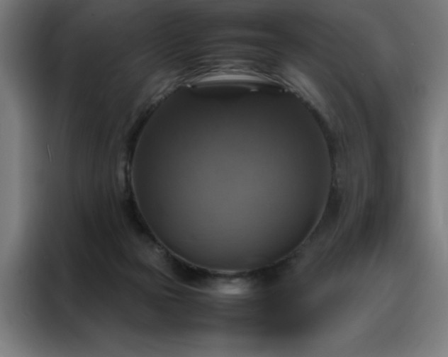 X0000088230169200705221832