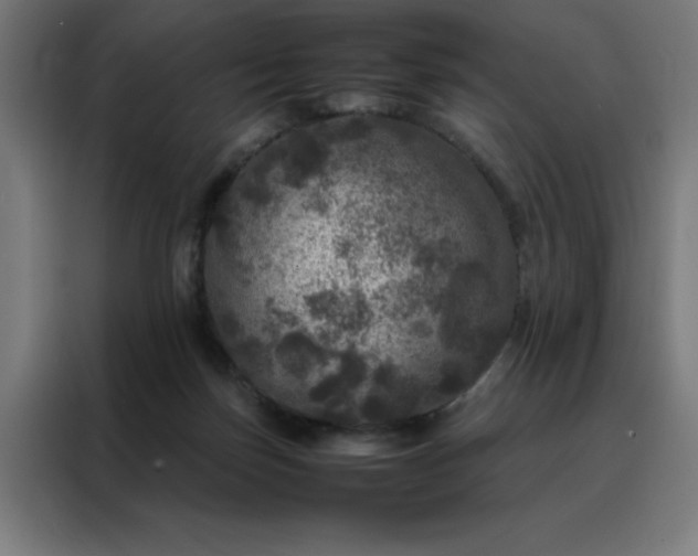 X0000088230171200705221832