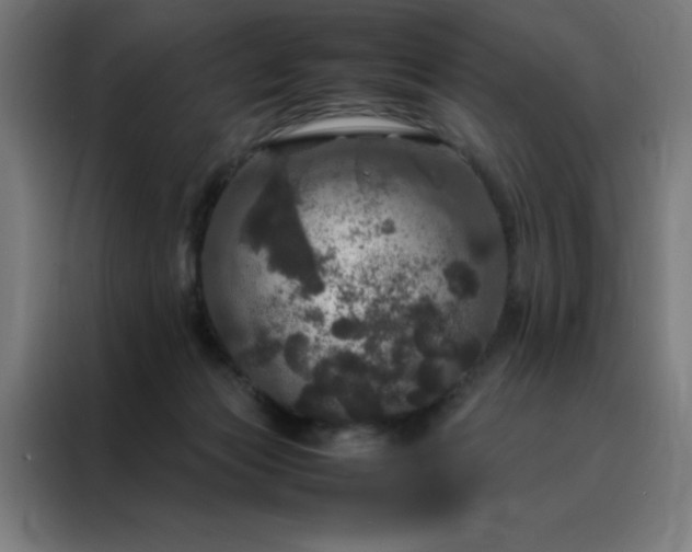 X0000088230173200705221832