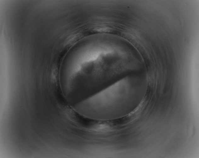 X0000088230175200705221832