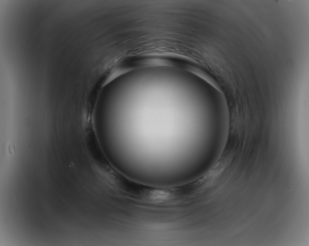 X0000088230176200705221832