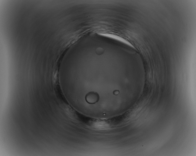 X0000088230177200705221832