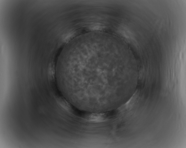 X0000088230179200705221832