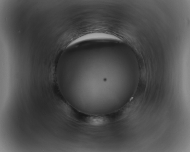 X0000088230181200705221832