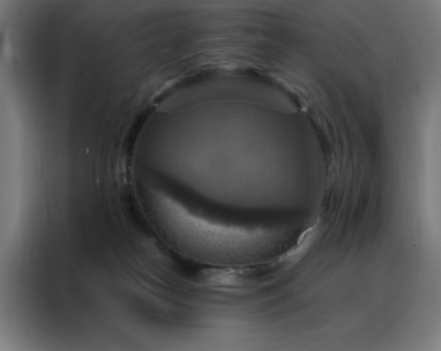 X0000088230182200705221832
