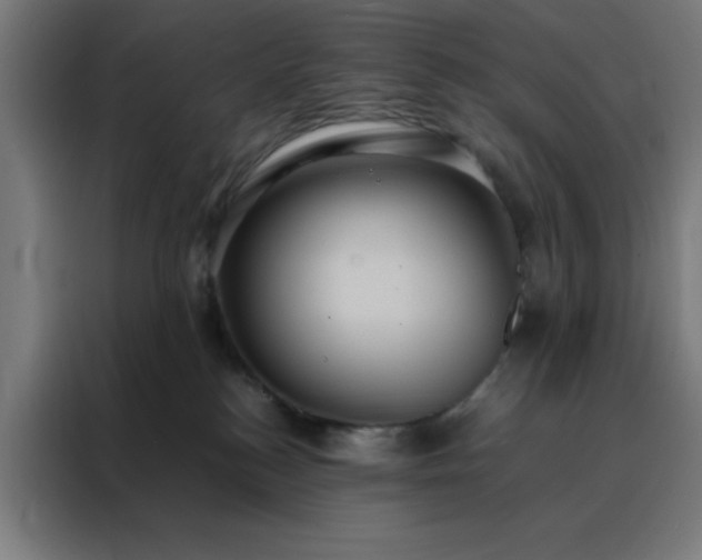 X0000088230184200705221832