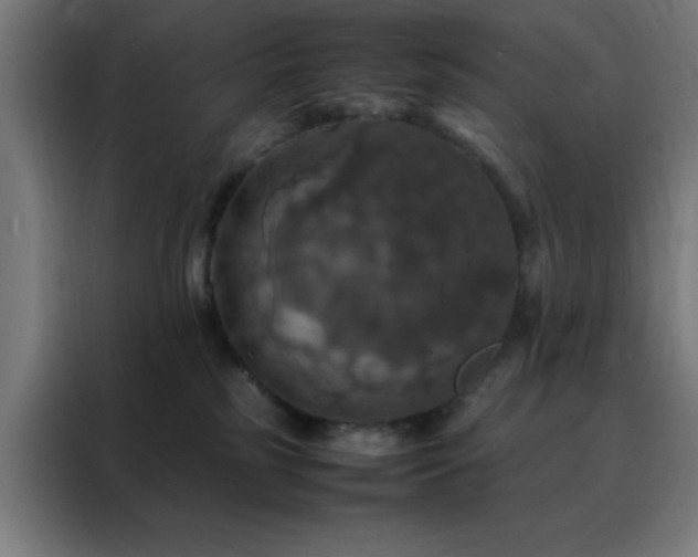 X0000088230185200705221832