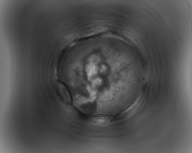 X0000088230187200705221832