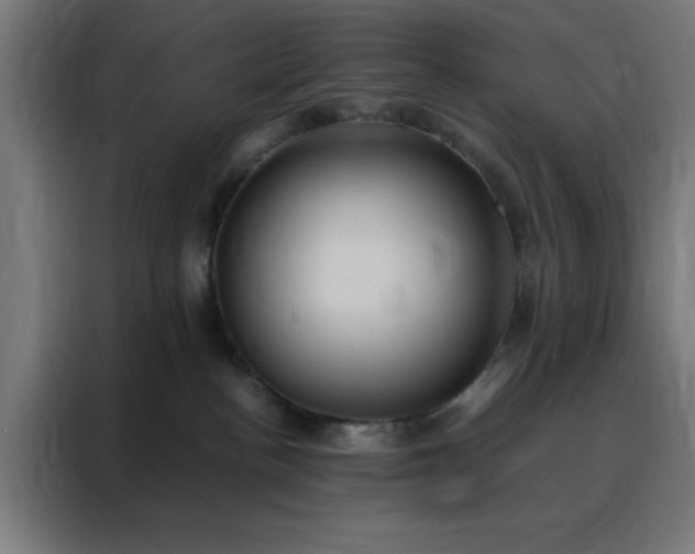 X0000088230188200705221832