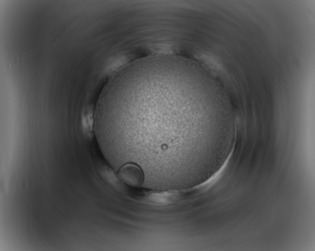 X0000088230190200705221832