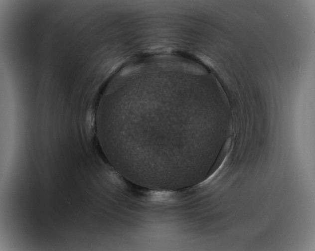 X0000088230192200705221832